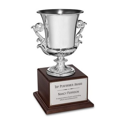 Award Cup - Silver